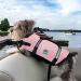 Vivaglory Ripstop Dog Rescue Vest - Improved Buoyancy & Visibility for Small to Medium Dogs | Cherry Blossom Pink XL (78-96cm) - Buy Online on GoSupps.com
