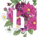 Helan - Matte Purple Lacquer Effect Liquid Lipstick 4 mL - Buy Online on GoSupps.com