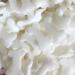 A Pinch Of - Halloween Bones Cake Topper Sprinkles - 20g Edible Matt Cupcake Decorations - Party Sprinkles Ideal For Halloween Themed Cakes and Bakes