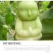 UPKOCH 6 Pcs Fruit Shaping Mold Buddha Shaped Vegetable Shaping Mold Ginseng Shaping Tools Growing Mould Growth FormingForming 6pcs - Buy Online on GoSupps.com