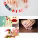 24 Pcs Transparent Nail Swatches Sticks - Nail Polish Display Board for Beginners and Professionals - Buy Online on GoSupps.com