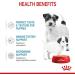 Royal Canin Mini Starter Complete Wet Food for Mother & Babydog 12 x 195g - Buy Online on GoSupps.com