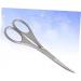 1pc Nose Hair Trimmer & Eyebrow Scissors - Precision Grooming Tool for Men & Women - International Shipping Available - Buy Online on GoSupps.com