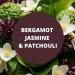 Black Canyon Bergamot Jasmine & Patchouli Scented Petroleum Jelly For Skin 16 Oz (2 Pack) - Buy Online on GoSupps.com