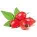 Organic Rosehip Powder 400g - 100% Pure Rosa Canina | Rich in Vitamin C for Smoothies Muesli & Drinks - European Wild Collection - Buy Online on GoSupps.com