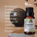 SenseLAB Bergamot Essential Oil - 100% Pure Therapeutic Grade Extract for Diffuser, Humidifier & Hair Care - Citrus Fragrance Oil - 10ml - Buy Online on GoSupps.com
