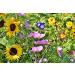 Billing Moments Massage Oil 500ml - Flower Meadow Blend with Argan Almond Grape Seed & Sunflower Oils - Ideal for Professional Use - Buy Online on GoSupps.com