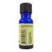 Wyndmere Pine Needle Essential Oil - 100% Pure Therapeutic Quality - 10ml Diffuser Oil - Made in USA - International Shipping Available - Buy Online on GoSupps.com