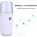 Beavorty 2pcs Air Diffuser Facial Mister Portable Beauty Spray Water Meter Carburetor Hydrating Face Steamer - Buy Online on GoSupps.com