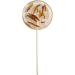 Crunchy Critters Edible Insects Three Lollipops - 90g - Buy Online on GoSupps.com