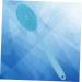 Silicone Body Brush Exfoliating Shower Scrubber - Blue - Buy Online on GoSupps.com