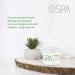 BCL SPA Lemongrass & Green Tea 4-Step Skincare Starter Kit 16oz Each Organic Vegan Spa Set for Hands Feet & Body Hydrates Exfoliates Softens Skin - Buy Online on GoSupps.com