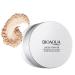 BIOAQUA Lightness Soft Light Oil Control Loose Delicate Powder Covers Skin Blemishes Repair Makeup 3 Colors 15g (3 Light Skin Tone)