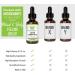 Max Potency Green Tea Fat Burner with EGCG Extract Liquid - Weight Loss Support & Energy Boost - Antioxidants & Caffeine - Non-GMO & Gluten Free - Buy Online on GoSupps.com
