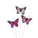 Lucky Winner Butterfly Picks for Gift Baskets/Floral Arrangements  Set of 3 (Pink)