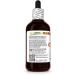 Chaga (Inonotus Obliquus) Dry Whole Mushroom Glycerite Made in Hawaii All Natural Vegan Lab Tested Alcohol-Free Liquid Extract - 4 fl.oz 4 Fl Oz (Pack of 1) - Buy Online on GoSupps.com