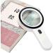 Magnifying Glass HD High Power Mirror with LED Light 205MM Optical Lens Reading Magnifier 5X Enlarged Mirror Magnifier Magnifier Handheld Magnifier Magnifier - Buy Online on GoSupps.com