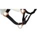 Shop Marengos Halter Set with Lead Rope - Elegant Black/Rose Gold for Warmbloods | International Shipping Available - Buy Online on GoSupps.com