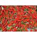 30 semi di Thai Pepper Red hot Chili Pepper Organic - Buy Online on GoSupps.com