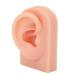 Silicone Human Ear Model  Right Ear Soft Flexible Reusable Fake Ear Model for Ear Piercing Training for Headphone Display Light Complexion