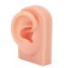 Huleo Fake Ear Model Right Ear Reusable Silicone Human Ear Model for Earrings Display for Acupuncture Practical Training Light Complexion
