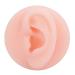 ZJchao Professional soft silicone ear model fake ear display example ear acupuncture exercise model medical teaching display props (left ear)