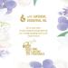 Yardley English Lavender by Yardley of London for Women Eau De Toilette Spray 4.2 Ounce 4.2 Fl Oz (Pack of 1) - Buy Online on GoSupps.com