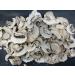 WENXUANSU:3 Pound (1362 grams) Champignon Dried Mushroom Premium Grade from Yunnan China
