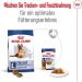 Royal Canin Maxi Ageing 8+ | Pack of 4 | 4 x 10 x 140 g | Complete Food for Dogs | for Large Older and Senior Dogs (26 to 44 kg) | From 5 Years - Buy Online on GoSupps.com