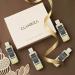 1 Fl Oz Michelle Obama Fragrance Perfume Oil for Women by Our Interpretation Long-Lasting Fragrance Oil For Home & Gifts 1 Fl Oz (Pack of 1) - Buy Online on GoSupps.com