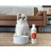 Juvenia Cats Resveratrol Pet Supplement - Anti Aging Antioxidant Gel for Senior Cats - Immune Support, Healthy Aging, Joint and Bone Strength - 8 oz - Buy Online on GoSupps.com