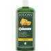 LOGONA Naturkosmetik Logona Organic Beer & Honey Volume Shampoo (6 x 250 ml)