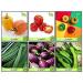 Seeds Online India Combo Flower and Vegetable Seeds Seeds Ridgegourd Snakegourd Winged Bean Revathy Orange Capsicum Red Peppers Yellow Pepper Kitchen Garden Pack - Buy Online on GoSupps.com