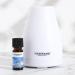 Tisserand Aromatherapy Sleep Better Spa Diffuser Set with Lavender Jasmine & Sandalwood Oil - 9ml - Buy Online on GoSupps.com