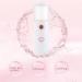 Dajidafu Face Mist Sprayer 30ml Rechargeable Moisturizing Facial Humidifier Portable Atomizer Salon Water Steamer Refillable Mister Pink - Buy Online on GoSupps.com