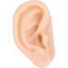 Buy Simulation Artificial Ear Model - Soft Silicone Ear Acupuncture Practice Model for Hospital Use | International Shipping Available - Buy Online on GoSupps.com