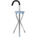Sport Seat Walking Stick and Seat Combination - Walking Cane with Folding Seat Canes with Seats for Heavy Weight Thick Aluminum Alloy Cane Stool Seat Chairs Heavy Duty G Surprise Gift - Buy Online on GoSupps.com