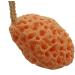 Dove Body Wash Natural Sponge Shower Body Sponge Body Bath Spa Exfoliator Sponge Washing Cleansing Face Puff Scrubber Sponge Soft Cosmetic Sponge (Orange) Bath Sponge Bath Sponge - Buy Online on GoSupps.com