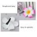 12PCS Hawaiian Plumeria Flower Hair Clips - Bohemia Foam Hairpins for Bridal Wedding Party Beach Holiday (Rose Red) - Buy Online on GoSupps.com