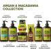 KISS Color & Care Argan & Macadamia Shampoo for Dry & Damaged Hair - 13.5 fl. oz | Buy Internationally - Buy Online on GoSupps.com