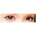 Dolly Wink Koji False Eyelashes 14 - Natural Cute | Shop Now - Buy Online on GoSupps.com