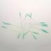 Buy P-Beauty Cosmetic Accessories: Eyelash Extensions & Silicone Brushes - 200 Pieces Green/Transparent - Buy Online on GoSupps.com