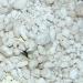 Buy Lucky Reptile HR-2 HatchRite 2L - Premium Breeding Substrate for Reptiles | Fast International Shipping - Buy Online on GoSupps.com