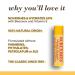 Buy Burt's Bees Beeswax Lip Balm 4.25g - Natural Honey Flavor - Moisturizing Lip Care - Global Shipping - Buy Online on GoSupps.com