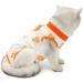 Agoumlux Cat Recovery Bodysuit - Post-Surgery Leak Protection for Cats - Cotton Orange | International Shipping Available - Buy Online on GoSupps.com
