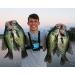 Catch Co Mystery Tackle Box Panfish & Trout Fishing Kit - Complete Set for Successful Fishing - Buy Online on GoSupps.com