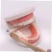 Shop Tovinanna 2-Sentence Toy for Early Dental Education | Fun Toothbrushing Model for Toddlers & Kids - Reusable Educational Puzzle Toy - Buy Online on GoSupps.com