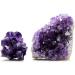 Natural Amethyst Cluster Quartz Minerals Stones and Crystals for Home Decoration - (Size: 40-60mm) - Buy Online on GoSupps.com