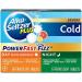 Alka-Seltzer Plus Severe Day + Night Cold PowerFast Fizz Effervescent Tablets 20ct 20 Count (Pack of 1)