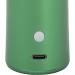 Handheld Facial Oxygen Injector 3 Bottles Fine Mist Facial Oxygen Injector High Pressure USB Rechargeable Skin Rejuvenation for Beauty Salon (Green) - Buy Online on GoSupps.com